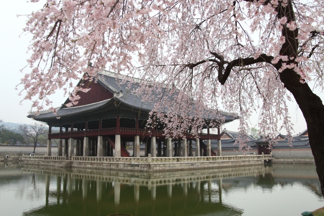 Corea de paso - 4 das
