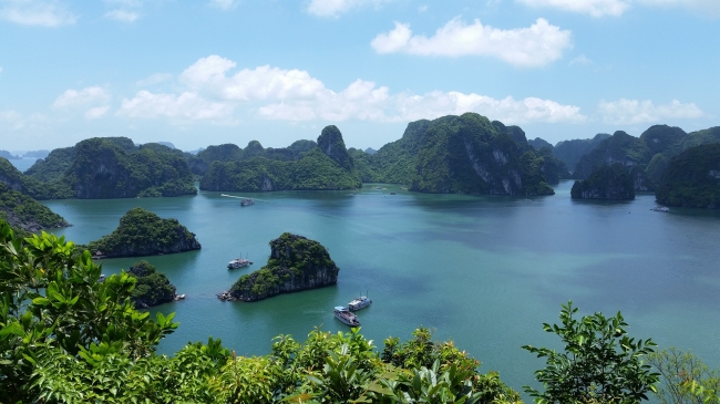 Vietnam bsico