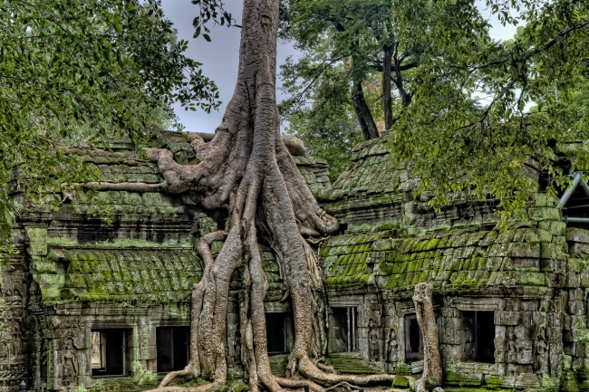 Indochina Majestuosa con templos de Angkor. Laos, Vietnam y Camboya 