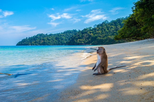 Caminos del norte de Tailandia