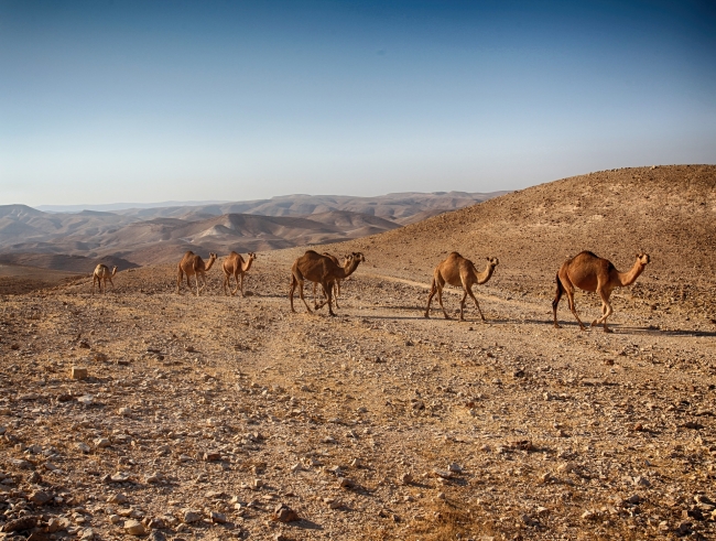 Lo mejor del Libano y de Jordania