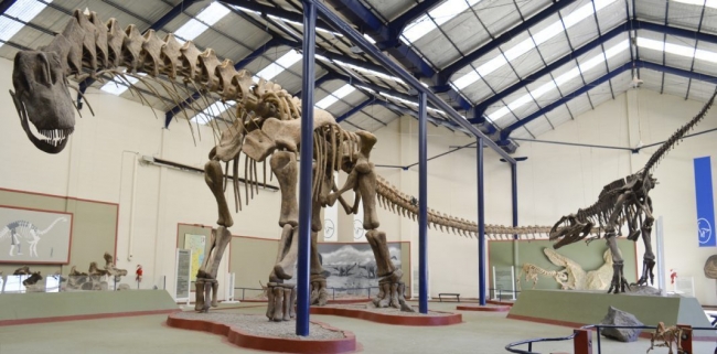 LA RUTA DE LOS DINOSAURIOS