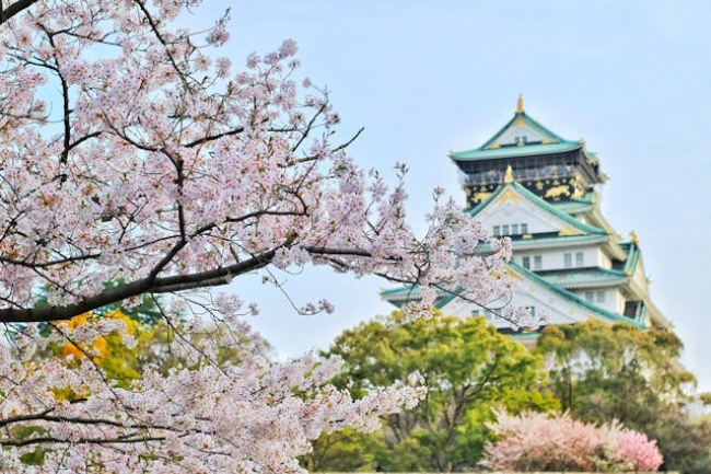 COREA y JAPON - SALIDA GRUPAL 8 DE SEPTIEMBRE 2025