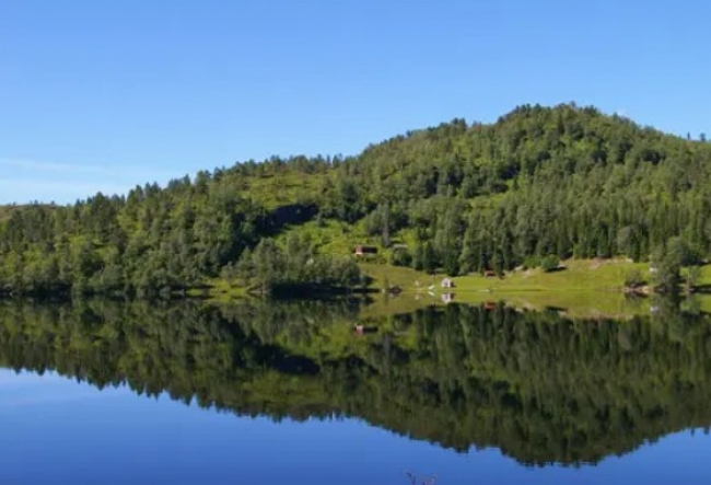 NORUEGA Y SUS FANTASTICOS FIORDOS