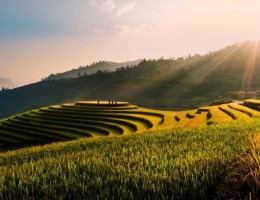 Vietnam bsico